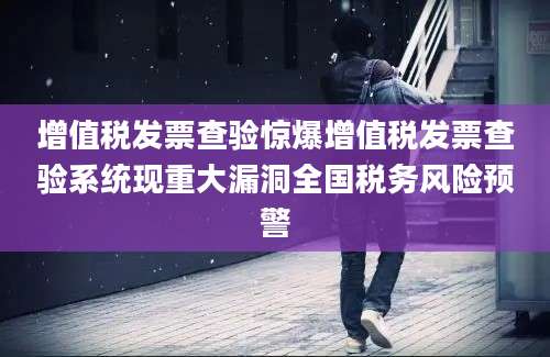 增值税发票查验惊爆增值税发票查验系统现重大漏洞全国税务风险预警