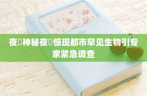 夜鸮神秘夜鸮惊现都市罕见生物引专家紧急调查