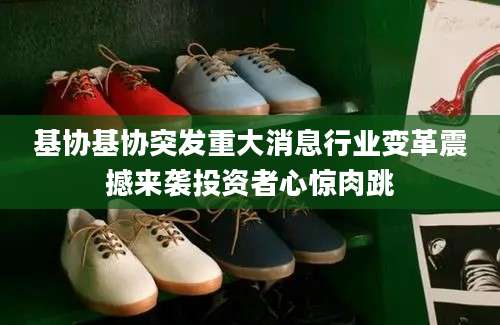 基协基协突发重大消息行业变革震撼来袭投资者心惊肉跳