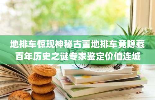 地排车惊现神秘古董地排车竟隐藏百年历史之谜专家鉴定价值连城