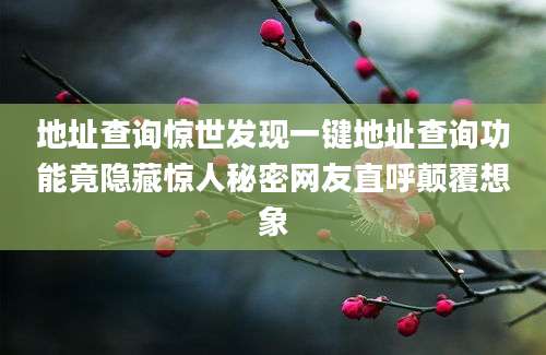 地址查询惊世发现一键地址查询功能竟隐藏惊人秘密网友直呼颠覆想象