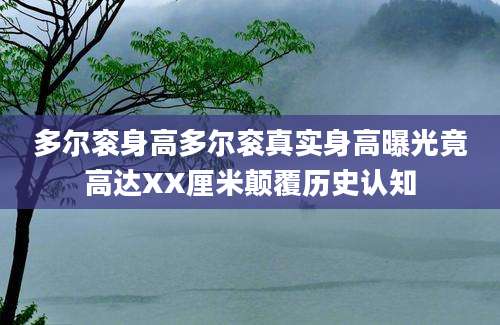 多尔衮身高多尔衮真实身高曝光竟高达XX厘米颠覆历史认知