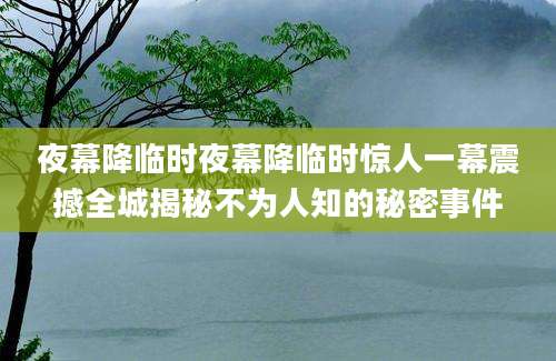 夜幕降临时夜幕降临时惊人一幕震撼全城揭秘不为人知的秘密事件