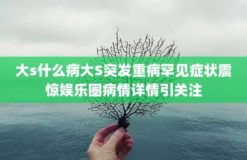 大s什么病大S突发重病罕见症状震惊娱乐圈病情详情引关注
