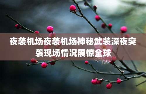夜袭机场夜袭机场神秘武装深夜突袭现场情况震惊全球