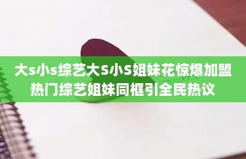 大s小s综艺大S小S姐妹花惊爆加盟热门综艺姐妹同框引全民热议