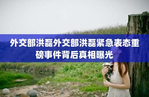 外交部洪磊外交部洪磊紧急表态重磅事件背后真相曝光