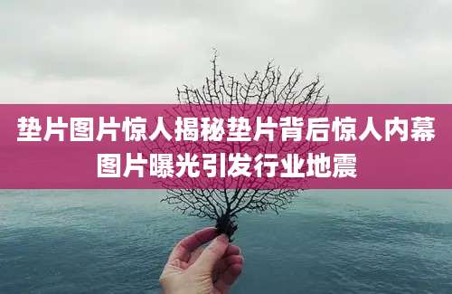 垫片图片惊人揭秘垫片背后惊人内幕图片曝光引发行业地震