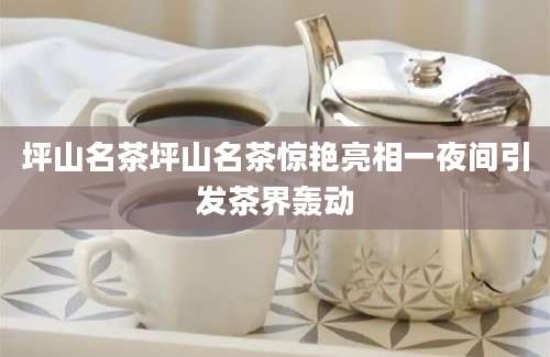 坪山名茶坪山名茶惊艳亮相一夜间引发茶界轰动