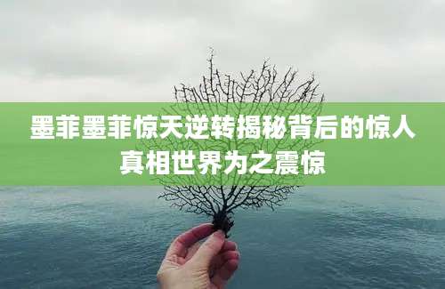 墨菲墨菲惊天逆转揭秘背后的惊人真相世界为之震惊