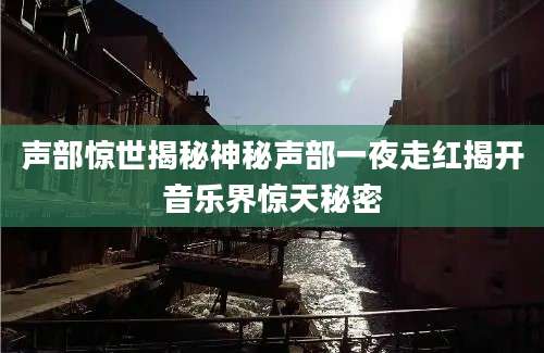 声部惊世揭秘神秘声部一夜走红揭开音乐界惊天秘密