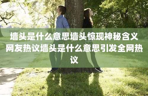 墙头是什么意思墙头惊现神秘含义网友热议墙头是什么意思引发全网热议