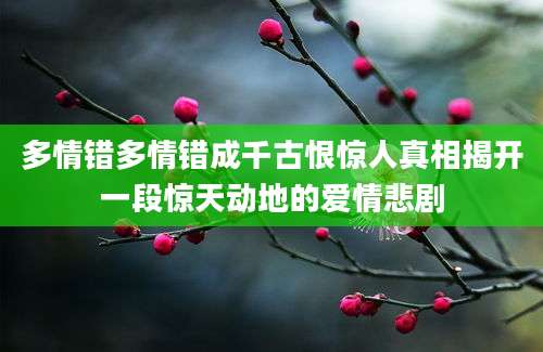 多情错多情错成千古恨惊人真相揭开一段惊天动地的爱情悲剧