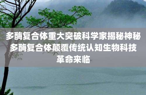 多酶复合体重大突破科学家揭秘神秘多酶复合体颠覆传统认知生物科技革命来临