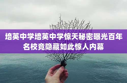 培英中学培英中学惊天秘密曝光百年名校竟隐藏如此惊人内幕