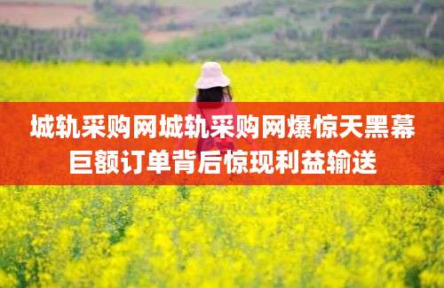 城轨采购网城轨采购网爆惊天黑幕巨额订单背后惊现利益输送
