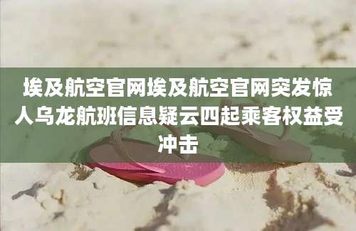 埃及航空官网埃及航空官网突发惊人乌龙航班信息疑云四起乘客权益受冲击