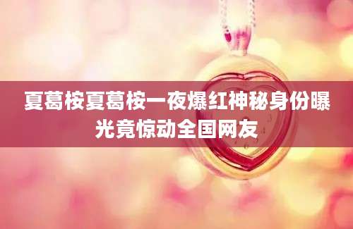 夏葛桉夏葛桉一夜爆红神秘身份曝光竟惊动全国网友