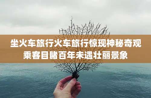 坐火车旅行火车旅行惊现神秘奇观乘客目睹百年未遇壮丽景象