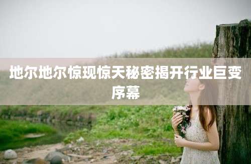 地尔地尔惊现惊天秘密揭开行业巨变序幕