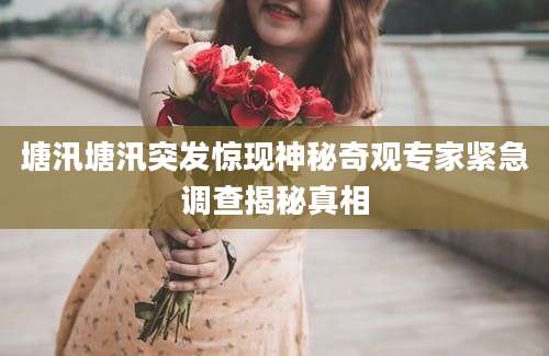 塘汛塘汛突发惊现神秘奇观专家紧急调查揭秘真相