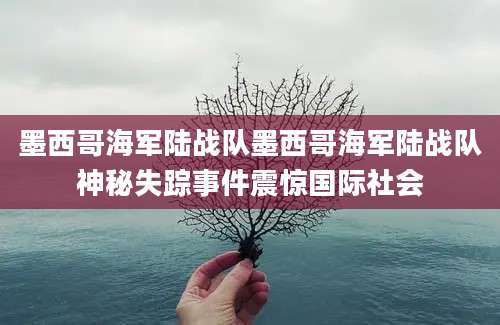 墨西哥海军陆战队墨西哥海军陆战队神秘失踪事件震惊国际社会