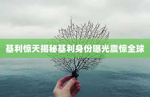 基利惊天揭秘基利身份曝光震惊全球