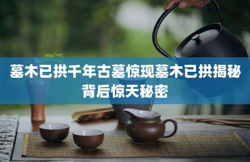 墓木已拱千年古墓惊现墓木已拱揭秘背后惊天秘密