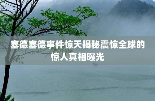 塞德塞德事件惊天揭秘震惊全球的惊人真相曝光