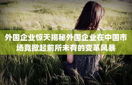 外国企业惊天揭秘外国企业在中国市场竟掀起前所未有的变革风暴