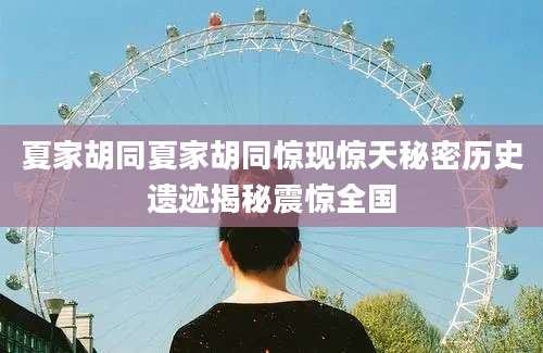 夏家胡同夏家胡同惊现惊天秘密历史遗迹揭秘震惊全国