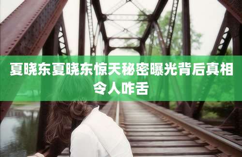 夏晓东夏晓东惊天秘密曝光背后真相令人咋舌