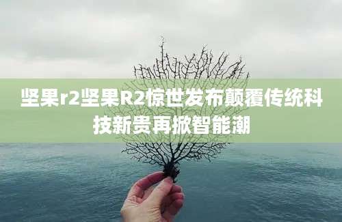 坚果r2坚果R2惊世发布颠覆传统科技新贵再掀智能潮