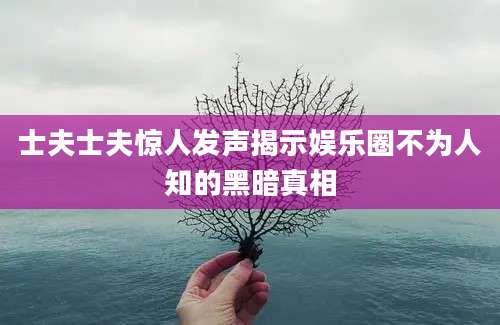 士夫士夫惊人发声揭示娱乐圈不为人知的黑暗真相
