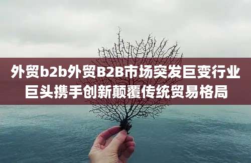 外贸b2b外贸B2B市场突发巨变行业巨头携手创新颠覆传统贸易格局