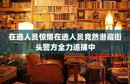 在逃人员惊爆在逃人员竟然潜藏街头警方全力追捕中