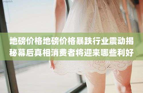 地磅价格地磅价格暴跌行业震动揭秘幕后真相消费者将迎来哪些利好