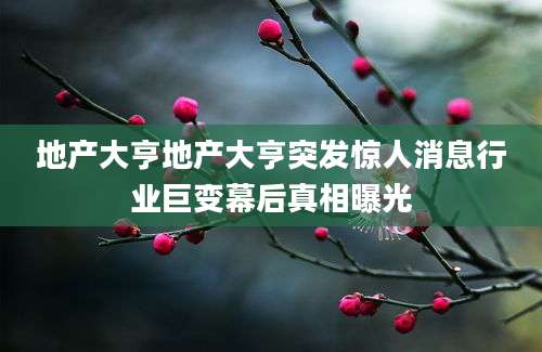 地产大亨地产大亨突发惊人消息行业巨变幕后真相曝光