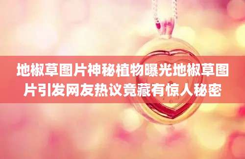 地椒草图片神秘植物曝光地椒草图片引发网友热议竟藏有惊人秘密
