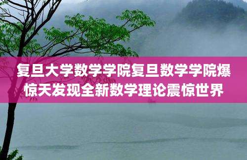 复旦大学数学学院复旦数学学院爆惊天发现全新数学理论震惊世界