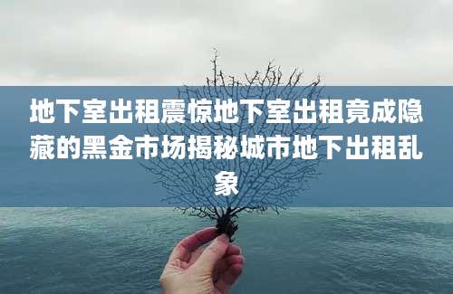 地下室出租震惊地下室出租竟成隐藏的黑金市场揭秘城市地下出租乱象