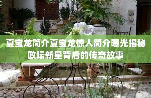 夏宝龙简介夏宝龙惊人简介曝光揭秘政坛新星背后的传奇故事