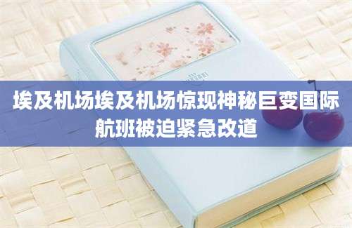 埃及机场埃及机场惊现神秘巨变国际航班被迫紧急改道