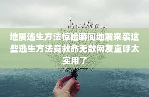 地震逃生方法惊险瞬间地震来袭这些逃生方法竟救命无数网友直呼太实用了