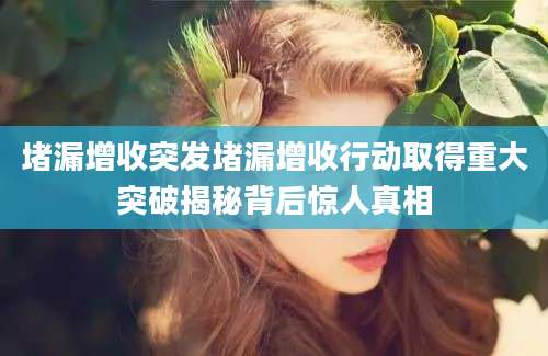 堵漏增收突发堵漏增收行动取得重大突破揭秘背后惊人真相