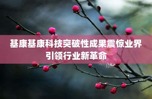 基康基康科技突破性成果震惊业界引领行业新革命