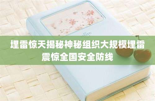 埋雷惊天揭秘神秘组织大规模埋雷震惊全国安全防线