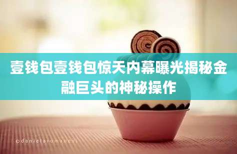 壹钱包壹钱包惊天内幕曝光揭秘金融巨头的神秘操作