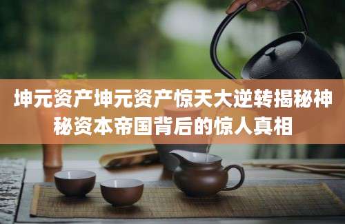 坤元资产坤元资产惊天大逆转揭秘神秘资本帝国背后的惊人真相