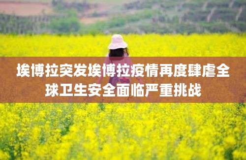 埃博拉突发埃博拉疫情再度肆虐全球卫生安全面临严重挑战